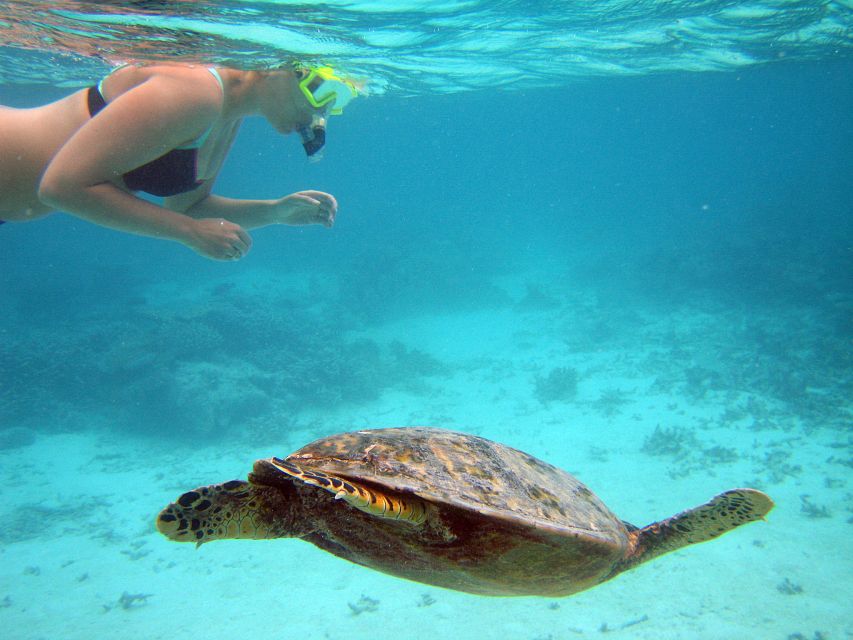 From Miami: Key West Day Trip - The real appeal: six hours to find your own Key West