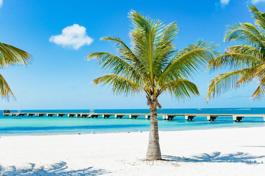 From Miami: Key West Day Trip - Leaving Miami before the day gets busy