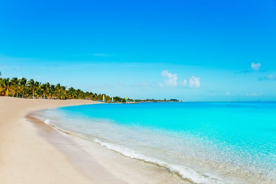From Miami: Key West Day Trip - Parasailing, glass-bottom boats, and sightseeing rides