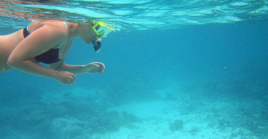 From Miami: Key West Day Trip - Guides, communication, and the return ride