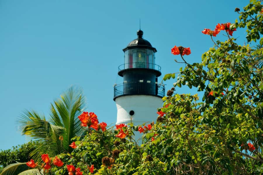 From Miami: Key West Day Trip with Narration - The aquarium and Dry Tortugas are separate decisions