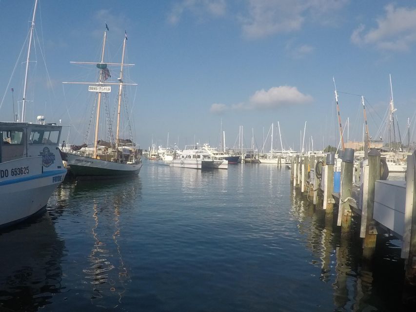 From Miami: Key West Day Trip with Pickup at Selected Hotels - Key points to know before booking