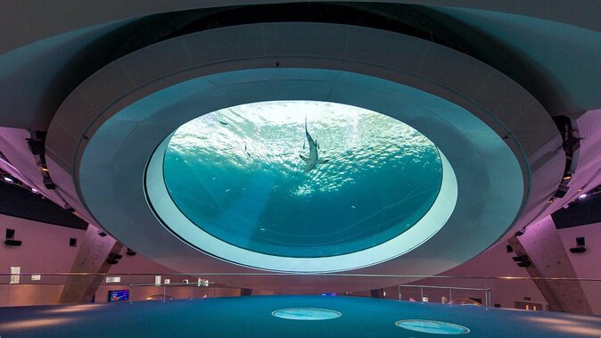 Frost Science Museum Admission Tickets - Key points to know before you go