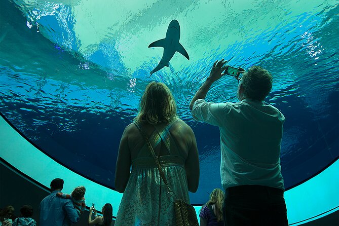 Frost Science Museum Admission Tickets - The planetarium adds a short trip into space