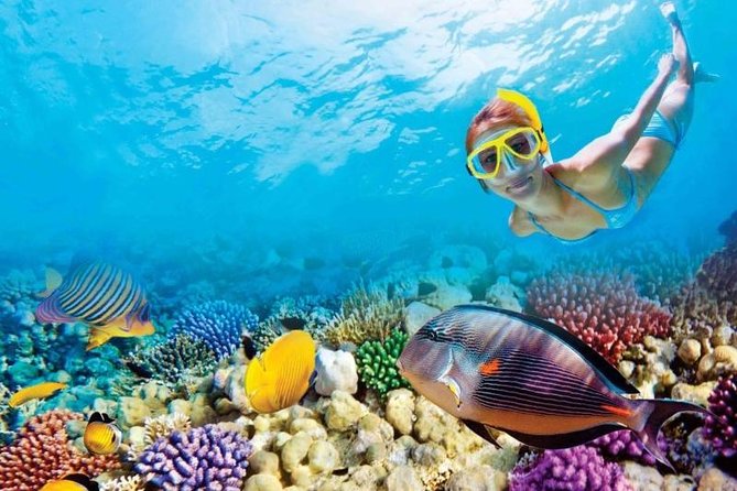 Full-Day Key West Tour and Coral Reef Snorkeling with Open Bar - Three hours aboard the catamaran
