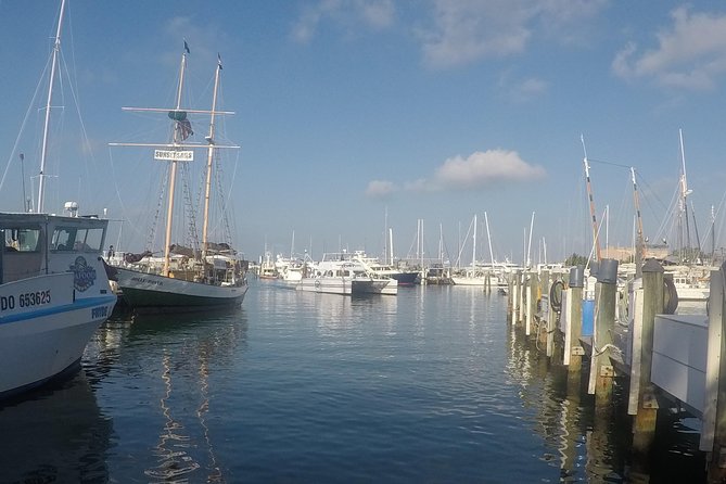 Full-Day Key West Tour and Coral Reef Snorkeling with Open Bar - What rough water can mean for snorkeling