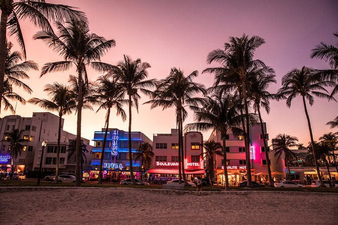 Go City: Miami All-Inclusive Pass with 25+ Attractions and Tours - Choose between PAMM, ARTECHOUSE, and Zoo Miami