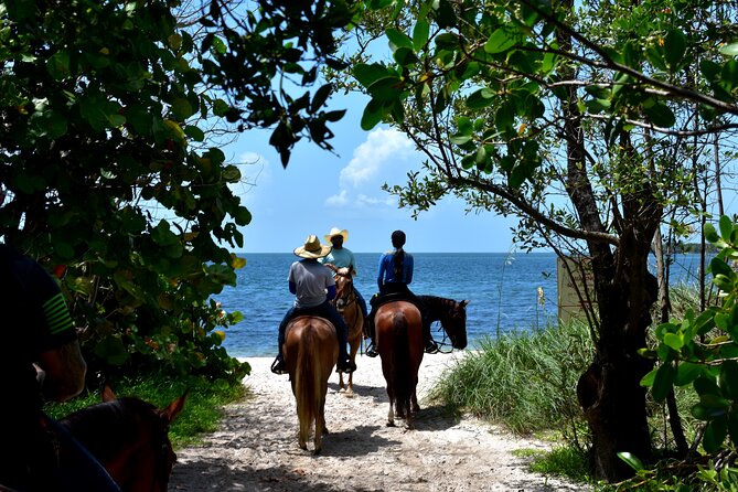 Guided Horseback Riding on The Pristine Waters of Miami Florida - What the trail section is really like