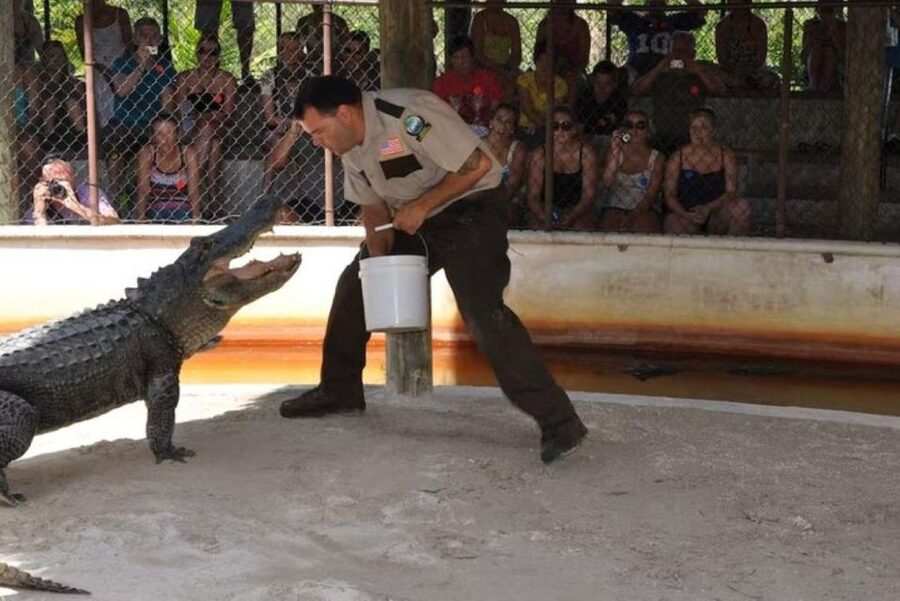 Half-Day Everglades Airboat Tours and Transportation - What This Everglades Trip Really Includes
