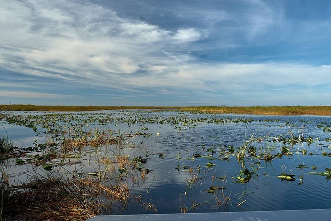Half-day Everglades National Park Tour and 1-Hour Air Boat Ride - The one-hour airboat ride through the River of Grass