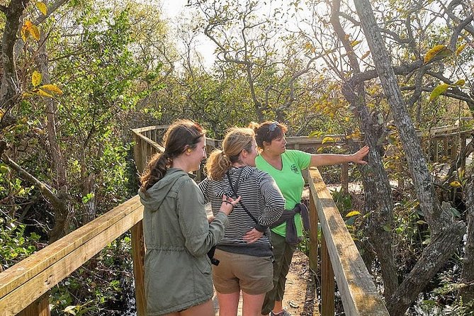 Half-day Everglades National Park Tour and 1-Hour Air Boat Ride - What the $189 price really covers