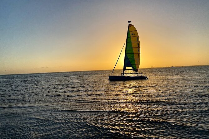Half-Day Private Guided Sailing Adventure of Miami's Biscayne Bay - Key Biscayne mangroves and the short stop