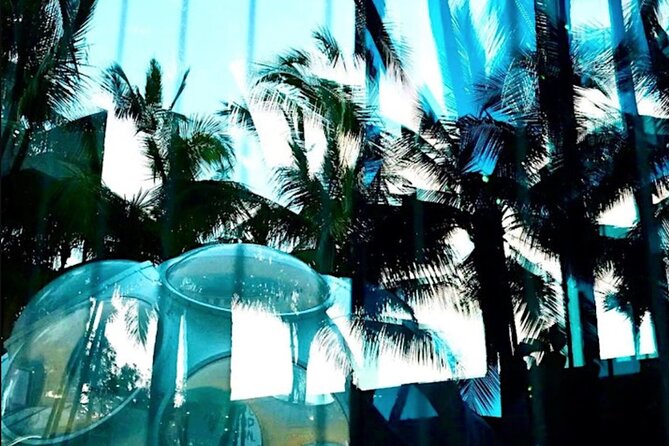 Hidden World of Miami Design District - small group tour! - What the $50 price really buys you
