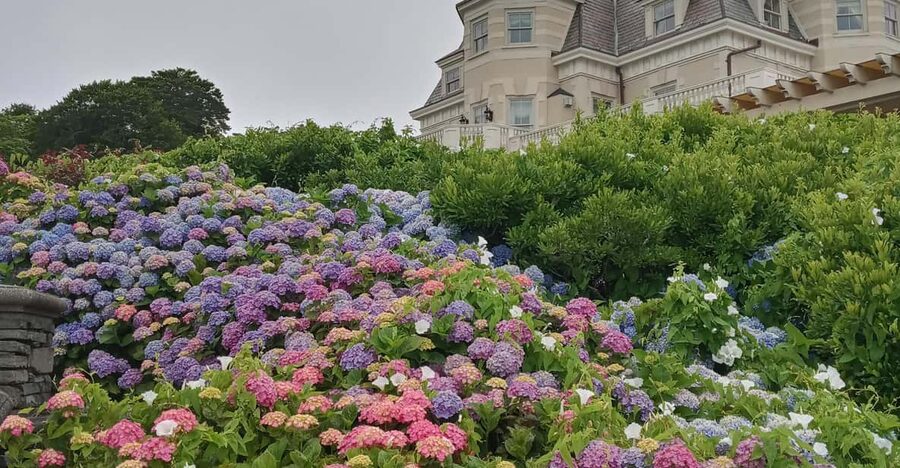 Historic Highlights of Newport,RI with with the Gilded Age - Timing, cancellations, and planning advice