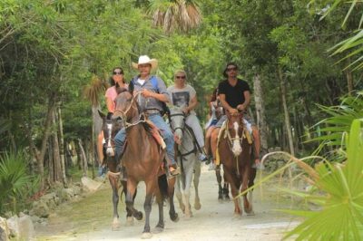 Horse Riding in Miami’s Countryside