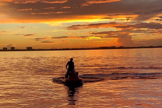 Jet Ski Tour from Miami Beach - Wildlife sightings are possible, not guaranteed