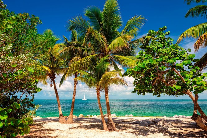 Key West Day Trip from Miami with Activities - Should you book it?