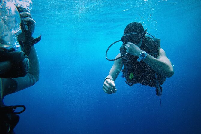 Key West from Miami with Snorkeling, Drinks and Hard Rock Cafe Meal - Who will enjoy this Key West day trip