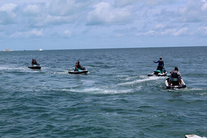 Key West Tours from Miami: Dolphin Discovery, Snorkeling & More ! - Dolphin watching and snorkeling near the reef