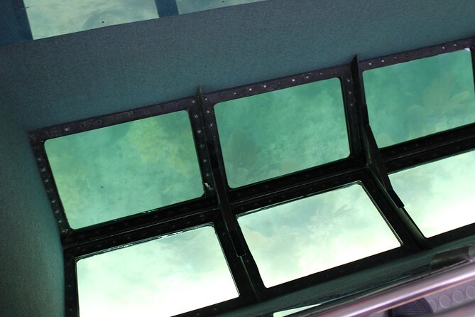 Key West Tours from Miami: Dolphin Discovery, Snorkeling & More ! - Glass-bottom boat and paid refreshments