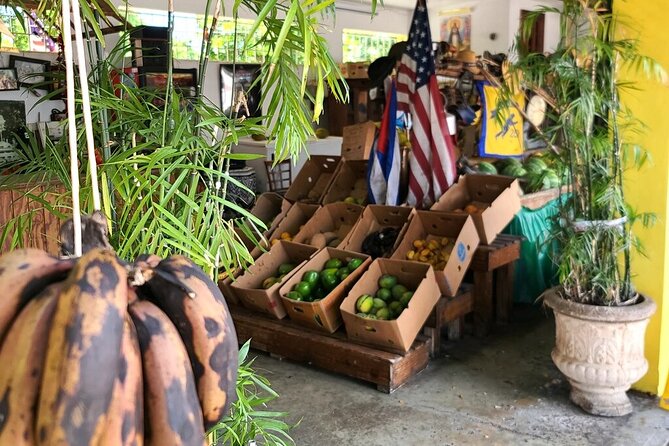 Little Havana: Authentic Food and Culture Walking Tour - Is $69 a fair price?