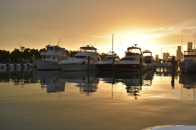 Luxury Charter + Access to Hidden Gems in Biscayne National Park - Why this private charter feels different from a standard Miami cruise