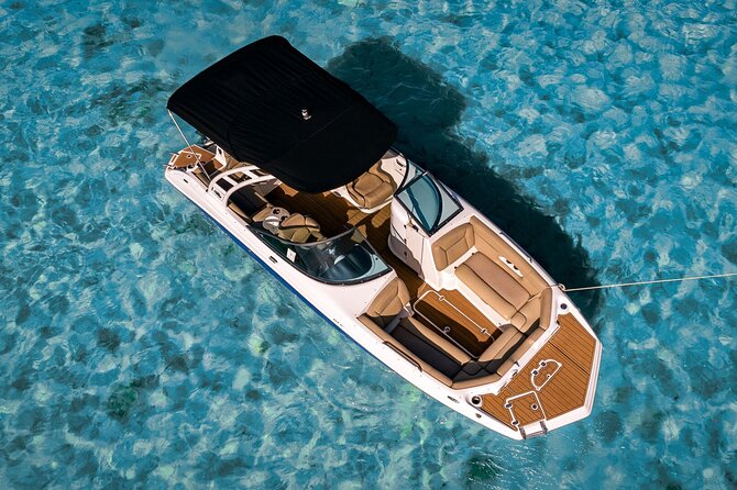Luxury Private Boat Tour from Miami Beach - Sandspur Island, raccoons, and wildlife