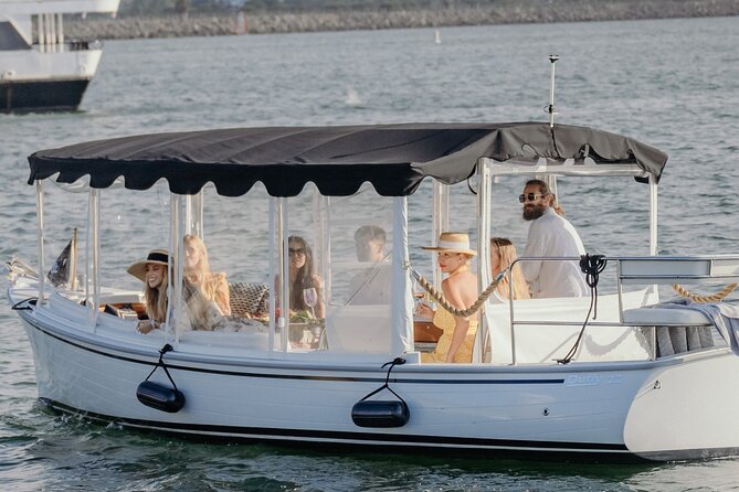 Luxury Shared Miami River E-Boat Cruise with Wine and Charcuterie - Watching for manatees near the city