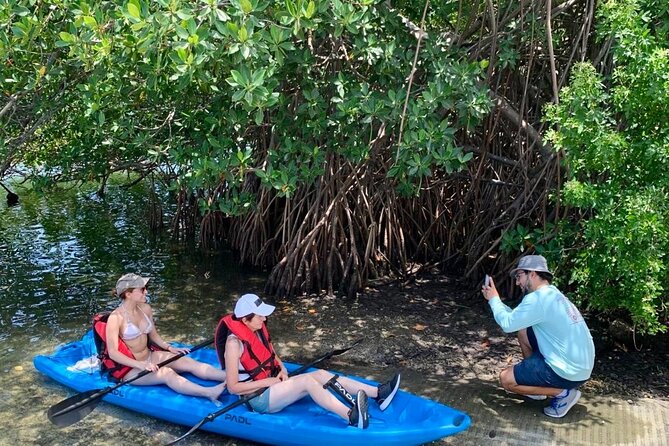 Manatee Season Guided Paddle Tour from Virginia Key - Who will enjoy it most