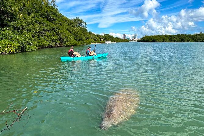 Manatee Season Guided Paddle Tour from Virginia Key - Choosing between a kayak and paddleboard