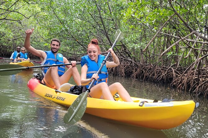 Mangrove Jungle Exploration on SUP/Kayak - Through the mangrove channels