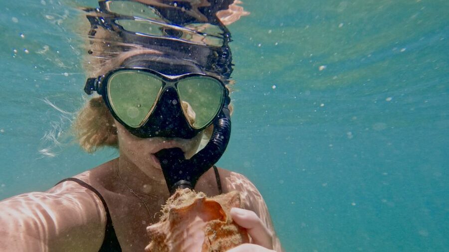 Mermaid Snorkel and Video Shoot - West Palm Beach - Is $79 a fair price?