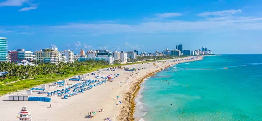 Miami 50-Minute Airplane Tour: Beaches, Islands & Downtown - The Port of Miami, Downtown, and Brickell