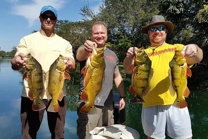 Miami Airport Lakes Peacock Bass Fishing Trip (1 to 4 ppl) - Why Airport Lakes make a surprisingly good fishing base