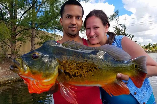 Miami Airport Lakes Peacock Bass Fishing Trip (1 to 4 ppl) - What the strongest feedback tells you