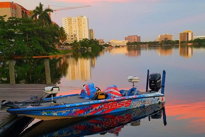Miami Airport Lakes Peacock Bass Fishing Trip (1 to 4 ppl) - Four hours among canals, bridges, and cover