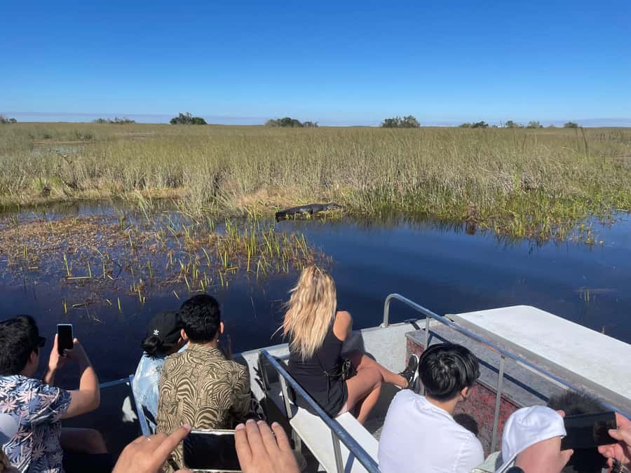 Miami: Alligator Spotting Airboat with Pick-Up/Drop-off - Reaching Holiday Park and the airboat dock