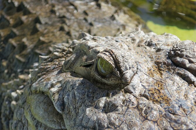 Miami and Everglades Adventure: Airboat & Bay Cruise Combo - Returning to Miami and finding the second activity