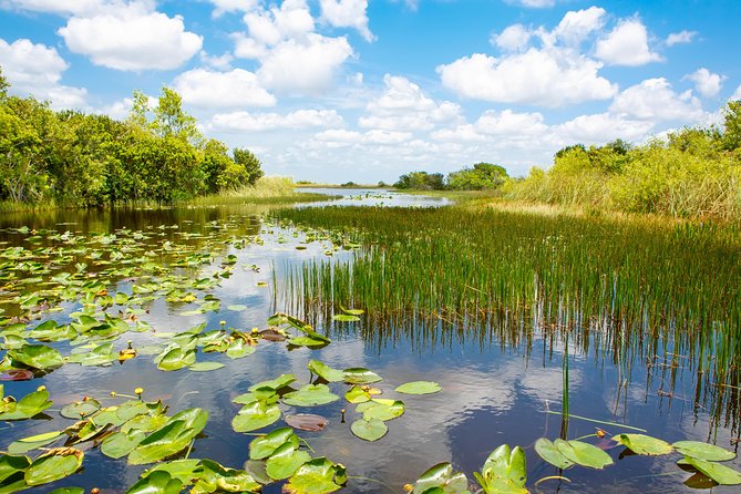 Miami and Everglades Adventure: Airboat & Bay Cruise Combo - Practical advice for a smoother day