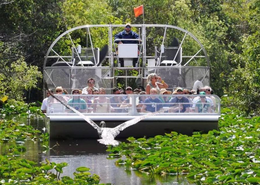 Miami Beach: Everglades Airboat Tours and Rides - Wildlife Sightings and What You Might Miss