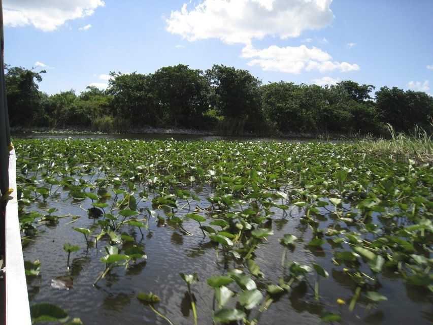 Miami Beach: Everglades Airboat Tours and Rides - What the $75 Price Includes