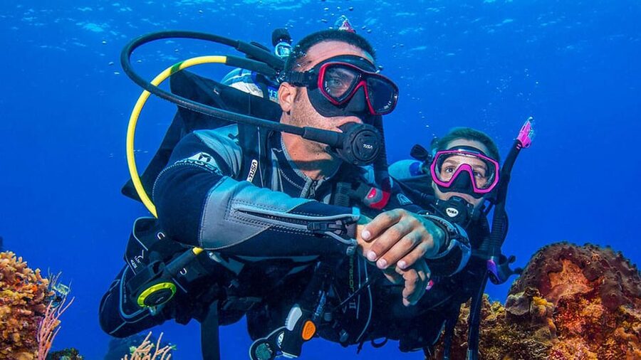 Miami Beach: Guided 2-Tank Reef and Wreck Dive Trip - Practical booking advice before you pay