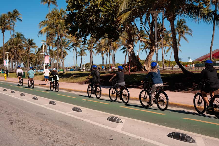 Miami Beach: Guided Bike Tour with Food Tasting (Adults) - Who will enjoy this tour most