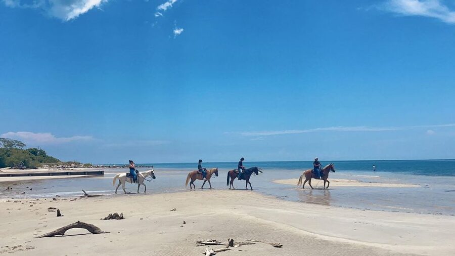 Miami: Beach Horse Ride & Nature Trail - Key things to know before you book