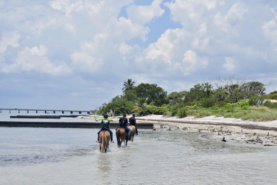 Miami: Beach Horse Ride & Nature Trail - Starting at the ranch beside Virginia Key Beach Park