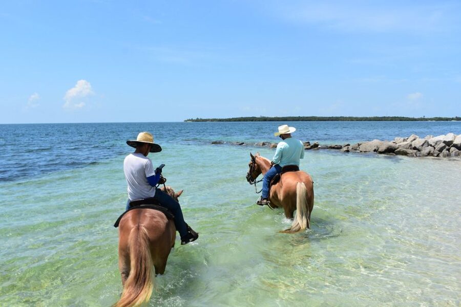 Miami: Beach Horse Ride & Nature Trail - Reaching the white sand and open water