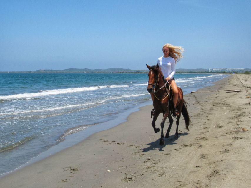 Miami: Beach Horse Ride & Nature Trail - How much value do you get for $180?