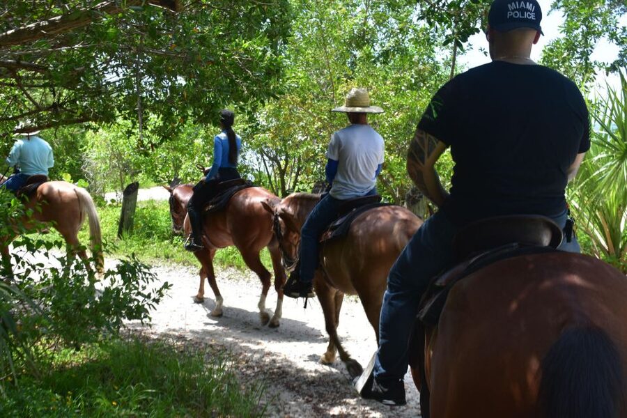 Miami: Beach Horse Ride & Nature Trail - Who will enjoy this ride most?