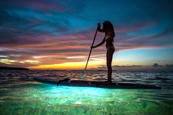 Miami Beach: Illuminated Sunset Paddleboard Tour - Key points to know before booking