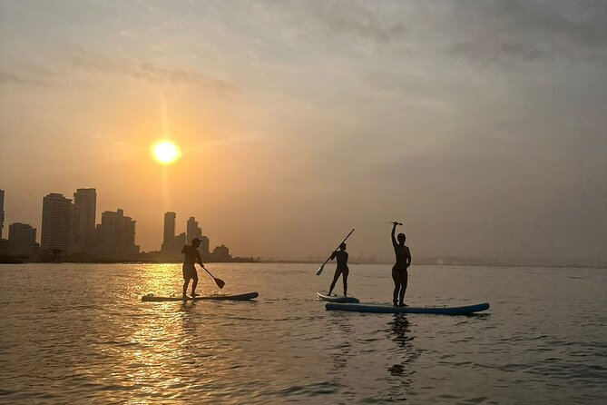 Miami Beach Paddleboard Rental with Instruction - The $19 price and what it includes